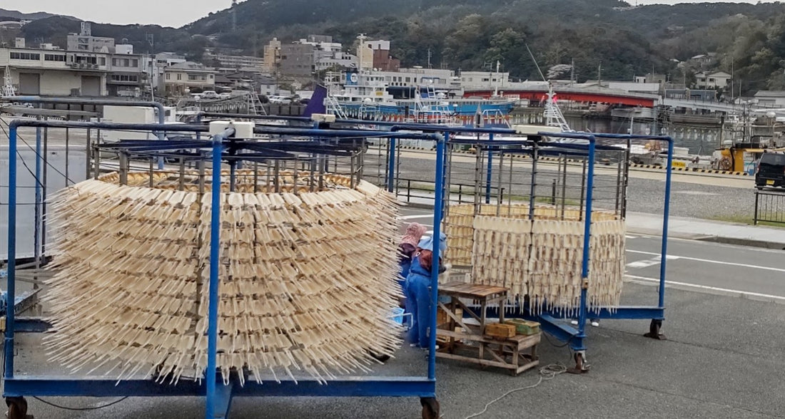 イカ乾燥機（イカゴーラウンド）
